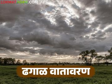 Maharashtra Weather Update : ढगाळ वातावरण चिंता वाढणार का? काय सांगतोय IMD चा रिपोर्ट - Marathi News | Maharashtra Weather Update: latest news weather Will cloudy weather increase concerns? What does the IMD report say? | Latest News at Lokmat.com