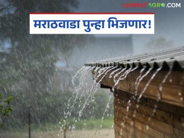 Maharashtra Weather Update : मराठवाड्यासह महाराष्ट्रात पावसाचा जोर; कुठे यलो तर कुठे ऑरेंज अलर्ट वाचा सविस्तर - Marathi News | latest news Maharashtra Weather Update: Heavy rain in Maharashtra including Marathwada; Yellow alert in some places, orange alert in others, read in detail | Latest News at Lokmat.com Maharashtra Weather Update : मराठवाड्यासह महाराष्ट्रात पावसाचा जोर; कुठे यलो तर कुठे ऑरेंज अलर्ट वाचा सविस्तर - Marathi News | latest news Maharashtra Weather Update: Heavy rain in Maharashtra including Marathwada; Yellow alert in some places, orange alert in others, read in detail | Latest News at Lokmat.com