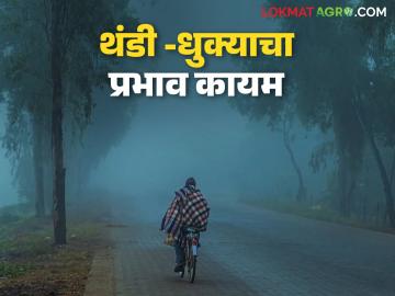 Maharashtra Weather Update : राज्यात हवामानात मोठा बदल; काय आहे IMD चा इशारा वाचा सविस्तर - Marathi News | latest news Maharashtra Weather Update: Big change in weather in the state; Read IMD's warning in detail | Latest News at Lokmat.com