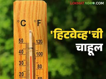 Maharashtra Heatwave Alert : 'हिटवेव्ह'ची चाहूल? कोकणासह ‘या’ भागांत उष्णतेचा इशारा - Marathi News | latest news Maharashtra Heatwave Alert: Warning of 'heatwave'? Heat warning in 'these' areas including Konkan | Latest News at Lokmat.com