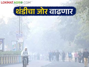 Maharashtra Weather Update : चक्राकार वाऱ्याचा महाराष्ट्रावर काय होणार परिणाम? IMD चा रिपोर्ट वाचा सविस्तर - Marathi News | Maharashtra Weather Update: What will be the impact of the cyclone on Maharashtra? Read the IMD report in detail | Latest News at Lokmat.com