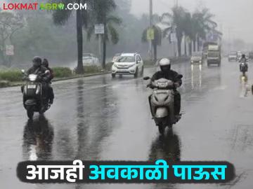 Maharashtra Weather Updates : वातावरणात बदल; पहाटे धुक्याची चादर पसरली IMD रिपोर्ट वाचा सविस्तर - Marathi News | Maharashtra Weather Updates: Changes in the atmosphere; A sheet of fog spread early in the morning. Read IMD report in detail | Latest News at Lokmat.com