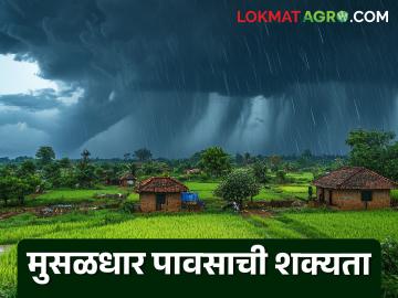 Maharashtra Weather Update : राज्यात पाऊस करणार कमबॅक; हवामान खात्याचा अलर्ट जारी वाचा सविस्तर - Marathi News | latest news Maharashtra Weather Update: Rains will make a comeback in the state; Meteorological Department issues alert, read in detail | Latest News at Lokmat.com