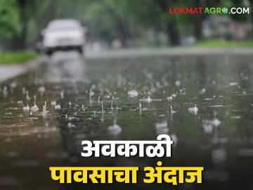 Maharashtra Weather Update : राज्यात पावसाचे होणार का पुनरागमन? वाचा IMD चा रिपोर्ट सविस्तर - Marathi News | Maharashtra Weather Update: Will rains return to the state? Read IMD report in detail | Latest News at Lokmat.com