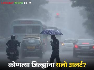 Maharashtra Weather Update : 'शक्ती' चक्रीवादळाचा प्रभाव; राज्यातील 'या' जिल्ह्यांना यलो अलर्ट वाचा सविस्तर - Marathi News | latest news Maharashtra Weather Update: Impact of Cyclone 'Shakti'; Yellow alert for 'these' districts of the state, read in detail | Latest News at Lokmat.com