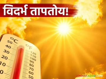 Maharashtra Weather Update : विदर्भ तापतोय! नागपूर-अमरावतीत उष्णतेची लाट; हवामान विभागाचा यलो अलर्ट - Marathi News | latest news Maharashtra Weather Update: Vidarbha is heating up! Heat wave in Nagpur-Amravati; Yellow alert from Meteorological Department | Latest News at Lokmat.com