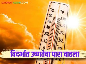 Maharashtra Weather Update: राज्यात उष्णतेच्या लाटेचा इशारा; काय सांगतोय IMD रिपोर्ट वाचा सविस्तर - Marathi News | Maharashtra Weather Update: latest news Heat wave warning in the state; Read the IMD report in detail | Latest News at Lokmat.com