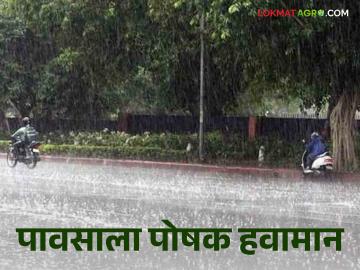 Maharashtra Weather Update : बाहेर जाताय! छत्री स्वेटर सोबत ठेवा; IMD रिपार्ट वाचा सविस्तर - Marathi News | Maharashtra Weather Update: Going out! Keep an umbrella and sweater with you; Read the IMD report in detail | Latest News at Lokmat.com