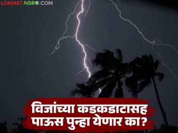 Maharashtra Weather Update : चक्रीवादळ 'शक्ती' झाले शांत; 'या' भागात पावसाचं सावट कायम वाचा सविस्तर - Marathi News | latest news Maharashtra Weather Update: Cyclone 'Shakti' has calmed down; Rains continue to linger in 'this' area Read in detail | Latest News at Lokmat.com