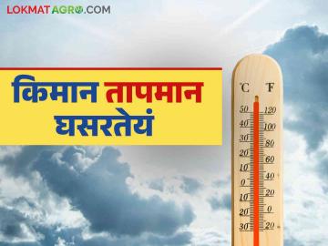 Maharashtra Weather Update : आता दव, धुके जाणवणार नाही, कसे असेल महाराष्ट्रातील हवामान? वाचा सविस्तर  - Marathi News | Latest news weather update Minimum temperature drops, coldness increases in Maharashtra Read in detail | Latest News at Lokmat.com