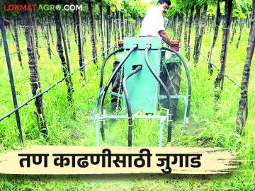 वांगी येथील शेतकऱ्याने बनविले ट्रॅक्टरवर चालणारे तण कापणी यंत्र - Marathi News | A farmer from Wangi built a tractor powered weed harvester | Latest News at Lokmat.com वांगी येथील शेतकऱ्याने बनविले ट्रॅक्टरवर चालणारे तण कापणी यंत्र - Marathi News | A farmer from Wangi built a tractor powered weed harvester | Latest News at Lokmat.com