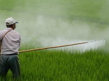 निंदायला मजूर मिळत नाहीत? मग तणांचा करा ‘स्मार्ट’ बंदोबस्त - Marathi News | 'smart' ways of weed management in labour shortage | Latest News at Lokmat.com