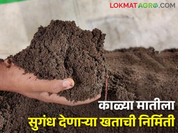 तरुणाने निर्माण केले उत्पादकता वाढविणारे खत, परदेशात निर्यात; मोदींकडून कौतुक - Marathi News | young Maharashtrian created productivity enhancing fertilizer, exported abroad; Appreciation from Modi | Latest News at Lokmat.com