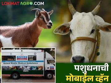 तुमच्या दारी ही येईल पशुधनाचा पशुवैद्यकीय दवाखाना; असा करा संपर्क - Marathi News | A livestock veterinary clinic at your doorstep; Do this contact | Latest News at Lokmat.com