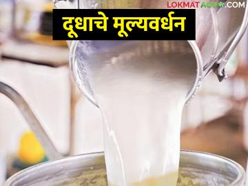दूध विकून पैसे हाती येत नाही; मग हा उपाय करून बघा - Marathi News | Money does not come from selling milk; Then try this solution | Latest News at Lokmat.com दूध विकून पैसे हाती येत नाही; मग हा उपाय करून बघा - Marathi News | Money does not come from selling milk; Then try this solution | Latest News at Lokmat.com