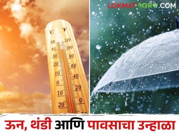 एप्रिलमध्ये तिन्ही ऋतूंचा अनुभव; दिवसा ऊन, रात्री बोचरी थंडी अन् पावसाचा मारा - Marathi News | Experience all three seasons in April; Heat during the day, cold and rainy at night | Latest News at Lokmat.com