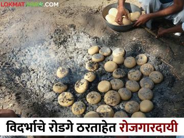 विदर्भाच्या तरुणांचा बेत भारी; रोडगे जेवणातून युवकांनी शोधला रोजगार! - Marathi News | The youth of Vidarbha is cooking delicious food; Young people find employment through Roadge meal! | Latest News at Lokmat.com