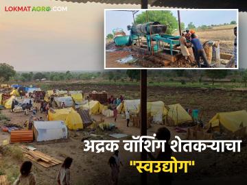 अद्रक वॉशिंग सेंटरच्या माध्यमातून दिला ४०० जणांना रोजगार; शेतकऱ्याने शोधला स्वउद्योग - Marathi News | 400 people given employment through Ginger Washing Center; A farmer found self-employment | Latest News at Lokmat.com