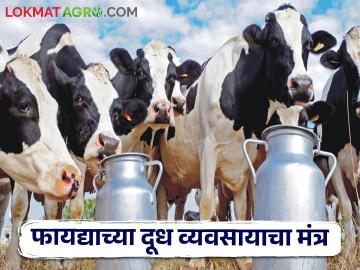 अलीकडे का झाले अनेक दूध उत्पादकांचे डेअरी फार्म बंद? - Marathi News | Recently why many dairy farms of milk producers have closed down | Latest News at Lokmat.com
