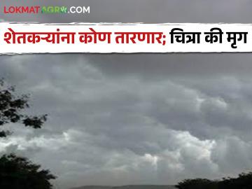 मृगाचा कोल्हा, चित्राची म्हैस; शेतकऱ्यांना यंदा पावसाळ्यात कोणते नक्षत्र तारणार? - Marathi News | Fox of mrug, buffalo of picture; Which constellation will save the farmers this monsoon season? | Latest News at Lokmat.com