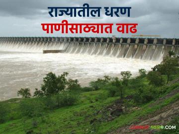 Maharashtra Dam Storage : पाऊस मुसळधार, राज्यातील धरणे 80 टक्के भरली, वाचा आजचा पाणीसाठा  - Marathi News | Latest News Maharashtra dam Storage Heavy rains, dams in maharashtra are 80 percent, read today's water storage  | Latest News at Lokmat.com