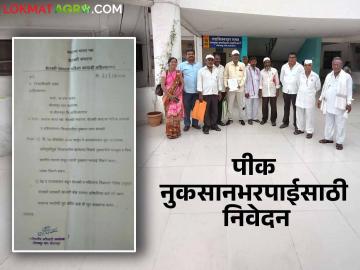 Agriculture News : अहिल्यानगर जिल्ह्यात वादळी पावसाने शेतीचं नुकसान, भरपाईसाठी निवेदन  - Marathi News | Latest News Agriculture News In Ahilyanagar district, damage to agriculture due to stormy rains, statement for compensation  | Latest News at Lokmat.com