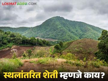 Shifting Cultivation : स्थलांतरित शेती कशाला म्हणतात? जाणून घ्या सविस्तर  - Marathi News | latest News agriculture News What is called shifting cultivation Know in detail  | Latest News at Lokmat.com