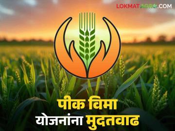 केंद्राने पिक विमा योजनांची मुदत वाढविली; आधुनिक तंत्रज्ञानची मदत घेत होणार विस्तार आठशे कोटी रुपयांचा निधी मंजूर - Marathi News | Centre extends crop insurance schemes; Expansion to be done with the help of modern technology, Rs 800 crore fund approved | Latest News at Lokmat.com केंद्राने पिक विमा योजनांची मुदत वाढविली; आधुनिक तंत्रज्ञानची मदत घेत होणार विस्तार आठशे कोटी रुपयांचा निधी मंजूर - Marathi News | Centre extends crop insurance schemes; Expansion to be done with the help of modern technology, Rs 800 crore fund approved | Latest News at Lokmat.com