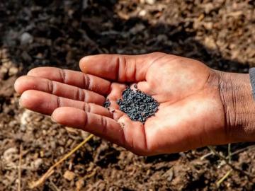 खतांचा काळाबाजार करणाऱ्यांवर थेट कारवाई करा, केंद्रीय कृषिमंत्र्यांचे सर्व मुख्यमंत्र्यांना आदेश  - Marathi News | Latest News Take direct action against those involved in black marketing of fertilizers says Union Agriculture Minister | Latest News at Lokmat.com