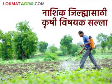 Agriculture News : पुढील पाच दिवस पाऊस कसा राहील, नाशिक जिल्ह्यासाठी कृषी सल्ला  - Marathi News | Latest news Agriculture News rain be for next five days, agricultural advisory for Nashik district | Latest News at Lokmat.com