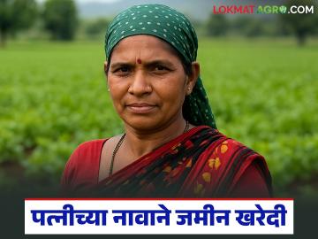 पत्नीच्या नावाने जमीन खरेदी केल्यास टॅक्स लागतो की नाही? जाणून घ्या सविस्तर - Marathi News | Is there any tax on buying land in wife's name? Know in detail | Latest smart-farming News at Lokmat.com
