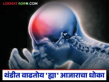 थंडीत 'ह्या' लक्षणांकडे दुर्लक्ष करणे पडेल महागात; होऊ शकतो हेमोरेजिक स्ट्रोक - Marathi News | Ignoring these symptoms in cold weather can be costly; can lead to hemorrhagic stroke | Latest News at Lokmat.com