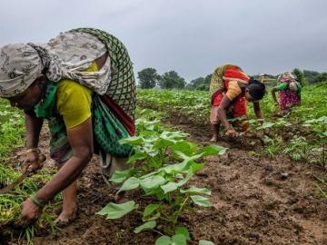 महिलांना उद्योजक बनायचंय, शासन करेल मदत, अशी आहे योजना  - Marathi News | The plan is that women want to become entrepreneurs, the government will help | Latest News at Lokmat.com