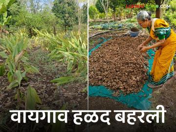 Women Farmer : डॉक्टर महिलेने केले शेतीचे नंदनवन वाचा सविस्तर - Marathi News | Women Farmer: A woman doctor created an agricultural paradise. Read in detail | Latest News at Lokmat.com Women Farmer : डॉक्टर महिलेने केले शेतीचे नंदनवन वाचा सविस्तर - Marathi News | Women Farmer: A woman doctor created an agricultural paradise. Read in detail | Latest News at Lokmat.com