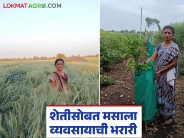 Women Farmer Success Story : शेतीसोबत लघुउद्योग; अर्चना डोळस यांनी महिलांना दिला स्वावलंबनाचा मंत्र - Marathi News | latest news Women Farmer Success Story: Small scale industries along with agriculture; Archana Dolas gave the mantra of self-reliance to women | Latest News at Lokmat.com