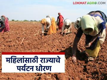 पर्यटन विभागामार्फत महिलांसाठी कृषी पर्यटन व्यवसाय उभा करण्यासाठी सवलत; कसा कराल अर्ज? - Marathi News | Tourism Department provides concessions for women farmers to set up agritourism businesses; How to apply? | Latest News at Lokmat.com