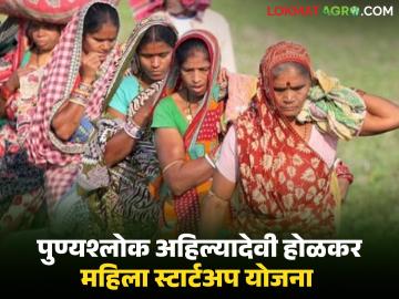 महिलांनो व्यवसाय सुरु करायचाय, 'ही' योजना देईल 1 लाखांपासून ते 25 लाखांपर्यंत अर्थ साहाय्य  - Marathi News | Latest News Financial assistance from one lakh to 25 lakhs from Punyashlok Ahilyadevi Holkar Women's Startup Scheme | Latest News at Lokmat.com