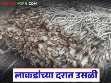 Wood Fuel Price Hike : गॅस टंचाईच्या भीतीने लाकूड बाजारात तेजी; दरात मोठी उसळी! - Marathi News | latest news Wood Fuel Price Hike: Wood market booms due to fear of gas shortage; Big jump in prices! | Latest News at Lokmat.com Wood Fuel Price Hike : गॅस टंचाईच्या भीतीने लाकूड बाजारात तेजी; दरात मोठी उसळी! - Marathi News | latest news Wood Fuel Price Hike: Wood market booms due to fear of gas shortage; Big jump in prices! | Latest News at Lokmat.com