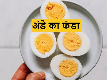 world egg day: तंदुरूस्त राहण्यासाठी वर्षाला किती अंडी खावीत? जाणून घ्या - Marathi News | world egg day 2023: How many eggs should be eaten per year to stay healthy? | Latest News at Lokmat.com