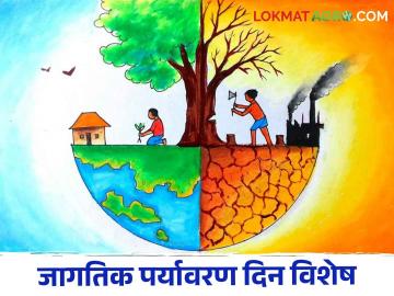 World Environment Day झाडे तुटली, पाणी संपले, ऊन वाढले; आता पुढे काय? - Marathi News | World Environment Day; Trees break, water runs out, heat rises; Now what next? | Latest News at Lokmat.com