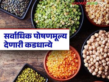सर्वाधिक प्रथिनांचे प्रमाण असणारी पहिली पाच कडधान्ये कोणती? जाणून घ्या सविस्तर - Marathi News | What are the top five grains with the highest protein content? Find out in detail | Latest News at Lokmat.com