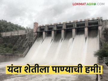 Dam Water Storage : उन्हाचा तडाखा वाढणार... तरीही यंदा शेतीला पाण्याची हमी! - Marathi News | latest news Dam Water Storage: The heat of the summer will increase... Still, water is guaranteed for agriculture this year! | Latest News at Lokmat.com
