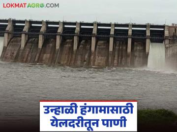 Yeldari Dam Water Release : शेतकऱ्यांसाठी खुशखबर; येलदरी धरणातून उन्हाळ्यासाठी पाणी सुरू - Marathi News | latest news Yeldari Dam Water Release: Good news for farmers; Water released from Yeldari Dam for summer | Latest News at Lokmat.com
