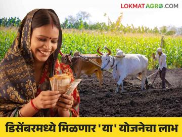 Maharashtra Government Schemes 2024 : डिसेंबरमध्ये लाडकी बहीण ते पीएम किसानसह कोणत्या योजनांचा लाभ मिळणार? वाचा सविस्तर - Marathi News | maharashtra government schemes 2024 : government give money for scheme will benefit from december | Latest News at Lokmat.com