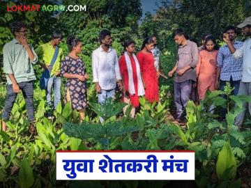 Youth Farmer Forum : तरुणांच्या हाती शेतीची सूत्रे, शेतीची ए टू झेड माहिती आता 'युवा शेतकरी मंच' देणार - Marathi News | Latest News Youth Farmers Forum' will now provide A to Z information on agriculture | Latest News at Lokmat.com