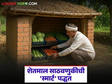 Zero Energy Cool Chamber : शेतकऱ्यांसाठी गेमचेंजर! वीज न वापरता शेतमाल साठवण्याची सोपी ट्रिक; नफाही वाढणार - Marathi News | latest news Zero Energy Cool Chamber: Game changer for farmers! Simple trick to store farm produce without using electricity; Profits will also increase | Latest smart-farming News at Lokmat.com