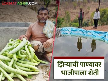 Vegetable Farming : जिथं पाणी नव्हतं तिथं पाणी आणलं, भाजीपाला शेतीसाठी शेतकऱ्याचा जुगाड - Marathi News | Latest News Vegetable Farming Nandurbar farmers experimented with vegetable farming on lake water | Latest News at Lokmat.com Vegetable Farming : जिथं पाणी नव्हतं तिथं पाणी आणलं, भाजीपाला शेतीसाठी शेतकऱ्याचा जुगाड - Marathi News | Latest News Vegetable Farming Nandurbar farmers experimented with vegetable farming on lake water | Latest News at Lokmat.com