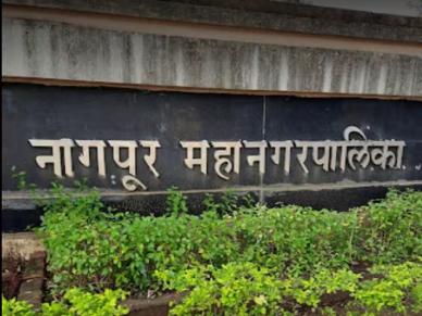 नागपुरात भाजपचा चौकार की काँग्रेसचा करिश्मा? फडणवीस, गडकरींच्या विकासाचा झंझावात