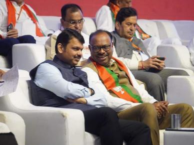 विदर्भात भाजपचं मोठं कमबॅक; महायुतीला ३७ जागा मिळण्याचा अंदाज विदर्भात भाजपचं मोठं कमबॅक; महायुतीला ३७ जागा मिळण्याचा अंदाज