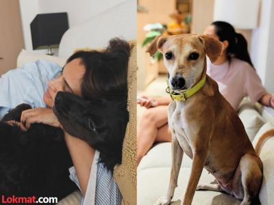 सर्वोच्च न्यायालयाच्या टिप्पणीनंतर अभिनेत्रीनं भटक्या कुत्र्यांशी केली पुरुषांची तुलना, म्हणाली...